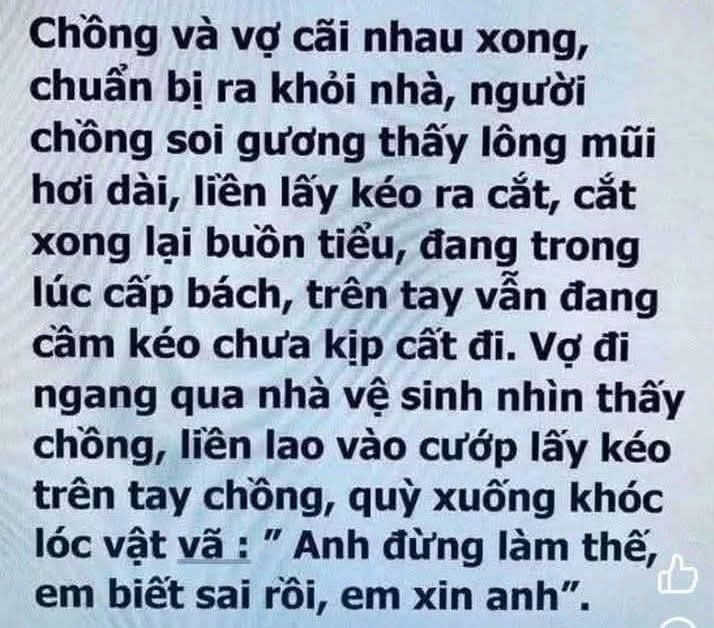 FB_IMG_1764549768675