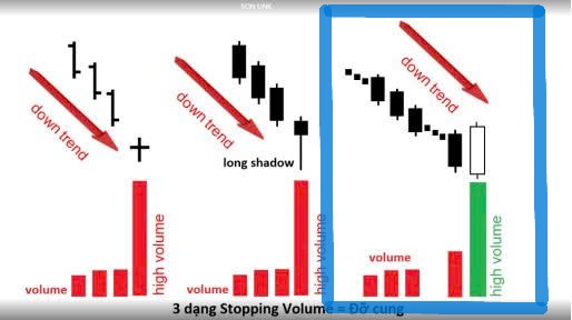 z7186862329219_d436daaa19186efaa7622787c899a8b3