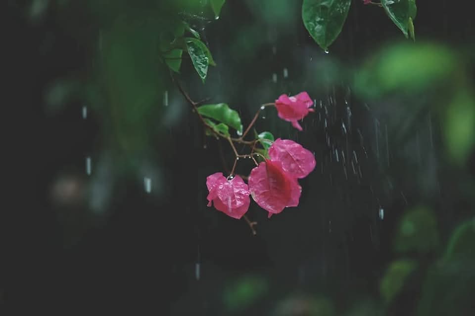 FB_IMG_1748693252920