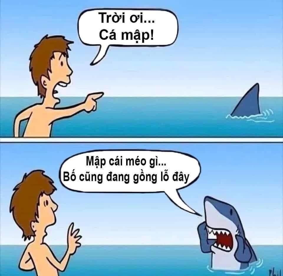 FB_IMG_1763889317117