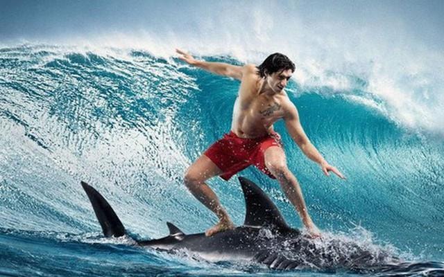 avatar1680654739880-16806547401811059991199-17099613127671937331620-1714663275618836960262-17185158795321750275806-0-0-315-504-crop-17185158839651550133561