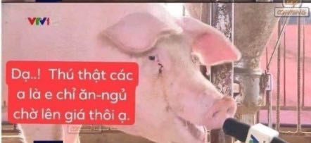 undefined-1701514512479.jpg|442 x 203