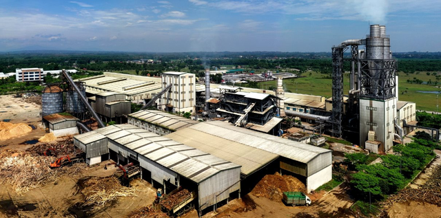 Lỗi đánh máy, một công ty gỗ đặt mục tiêu doanh thu cả triệu tỷ đồng, gấp 5 lần Hòa Phát, 3 lần Vingroup