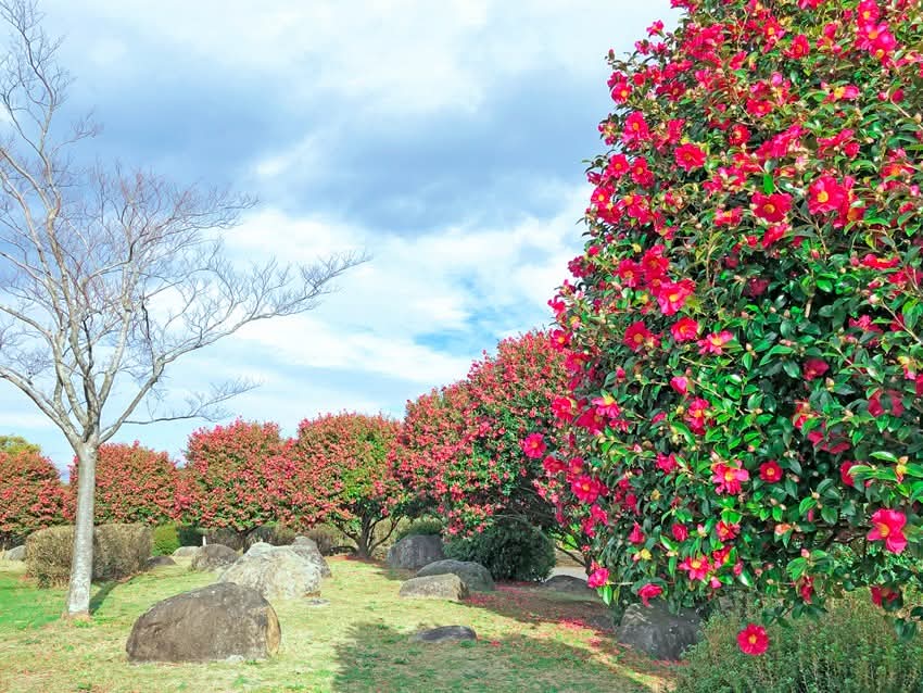 FB_IMG_1733929324750