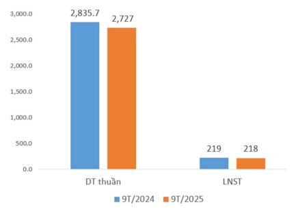 Dệt may Thành Công (mẹ) báo lãi tháng 9/2025 chỉ bằng 31% cùng kỳ- Ảnh 2. Dệt may Thành Công (mẹ) báo lãi tháng 9/2025 chỉ bằng 31% cùng kỳ- Ảnh 2.