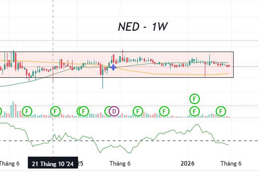 ned