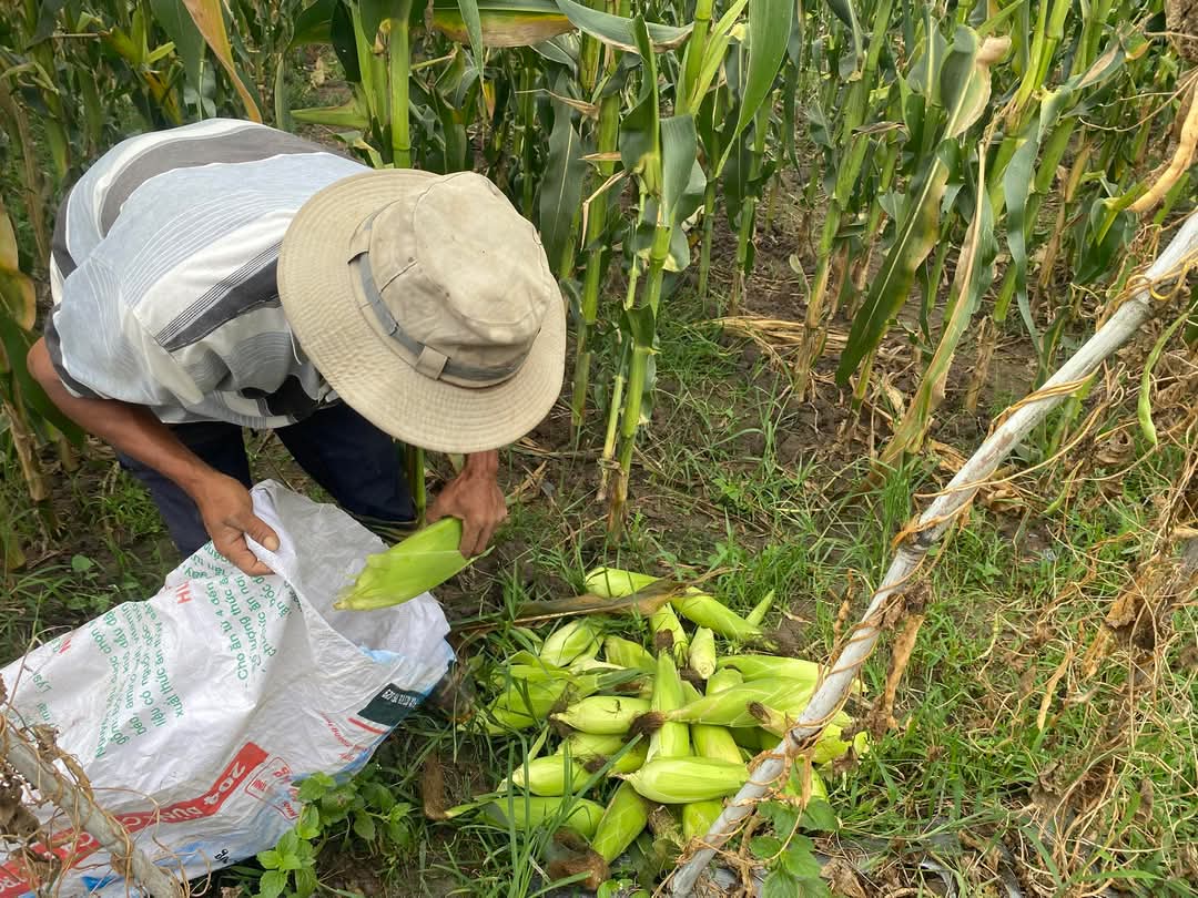 FB_IMG_1747881311693