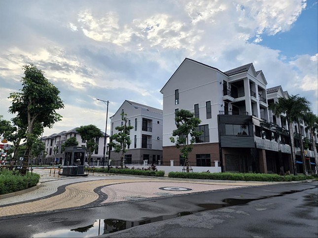 Tắc khâu thẩm định giá đất tại TPHCM: Hồ sơ dồn cục, dự án 'chết đứng'- Ảnh 1.