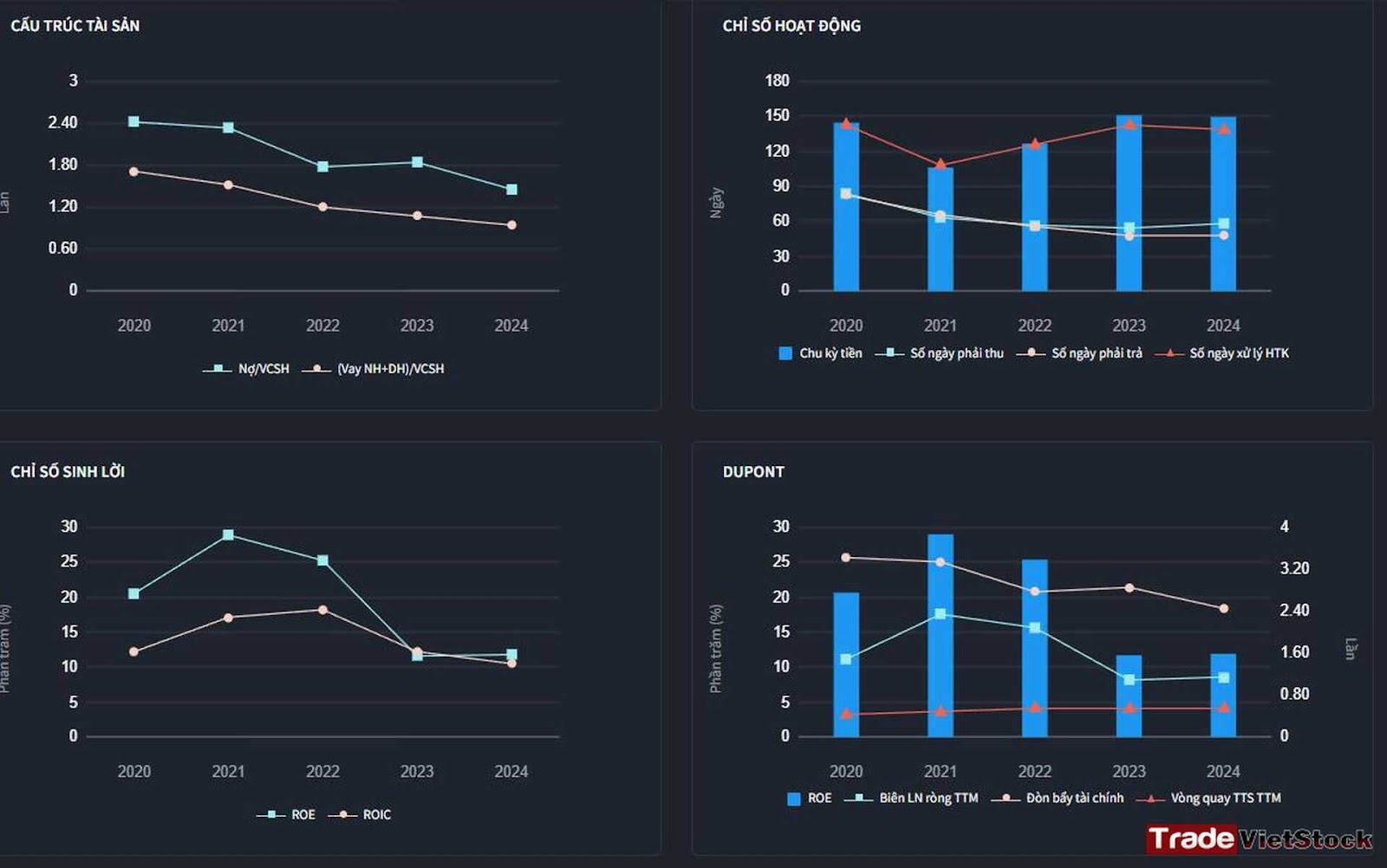 Cấu Trúc Tài Sản Và Hiệu Suất Năm Của Dpg Trade Việt Stock