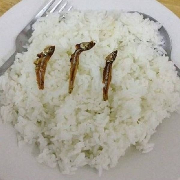 d5c9ed70eeae41f018bf