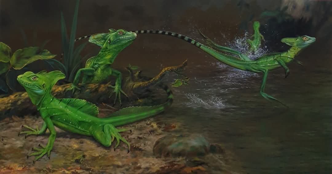 FB_IMG_1746768980146