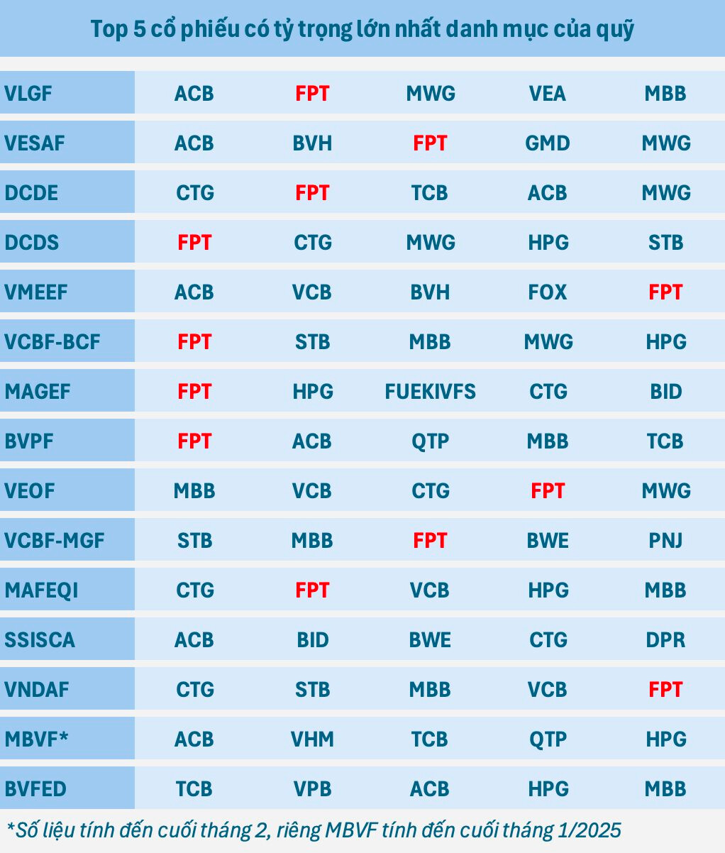 Cược lớn vào FPT, bỏ quên nhóm Vingroup, hiệu suất các quỹ mở thua xa VN-Index- Ảnh 2.