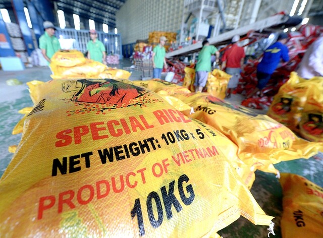 Philippines muốn kéo dài lệnh cấm nhập khẩu, gạo Việt thế nào?- Ảnh 1. Philippines muốn kéo dài lệnh cấm nhập khẩu, gạo Việt thế nào?- Ảnh 1.