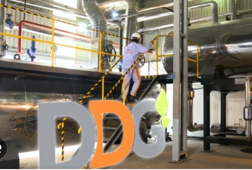 Vì sao 2 doanh nghiệp bị xử phạt hơn 600 triệu đồng?- Ảnh 1.