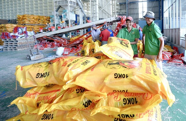 Philippines muốn kéo dài lệnh cấm nhập khẩu, gạo Việt thế nào?- Ảnh 2. Philippines muốn kéo dài lệnh cấm nhập khẩu, gạo Việt thế nào?- Ảnh 2.