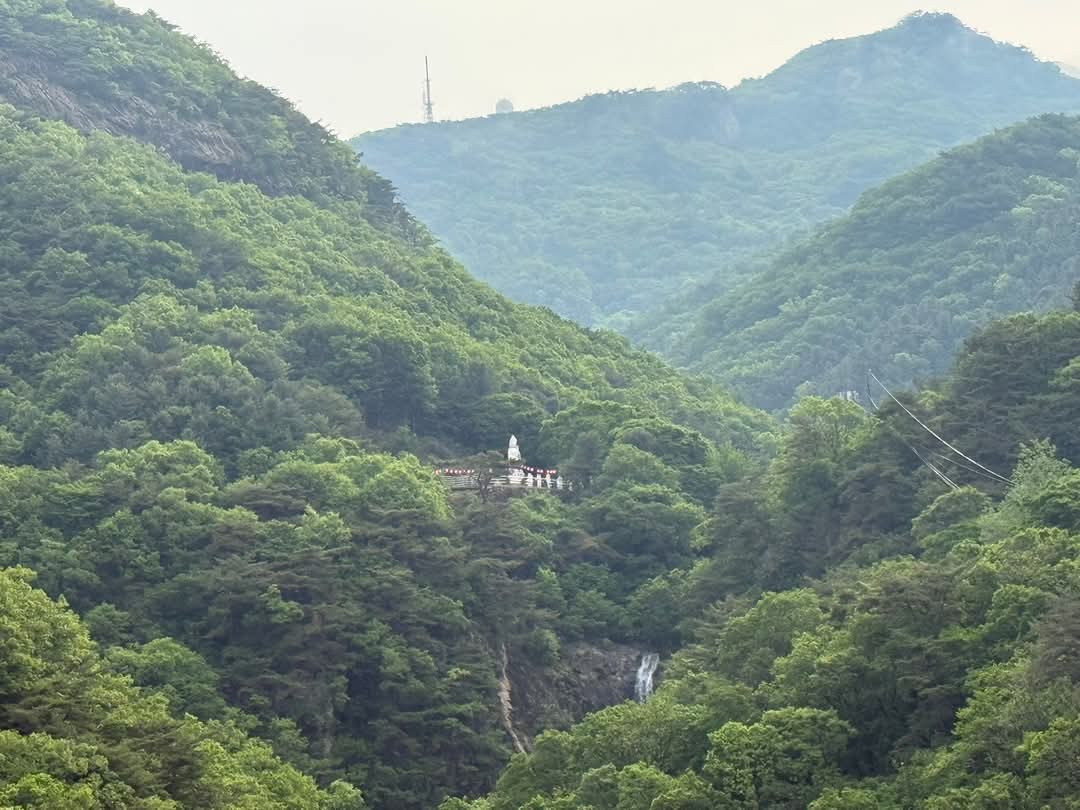 FB_IMG_1747580517265