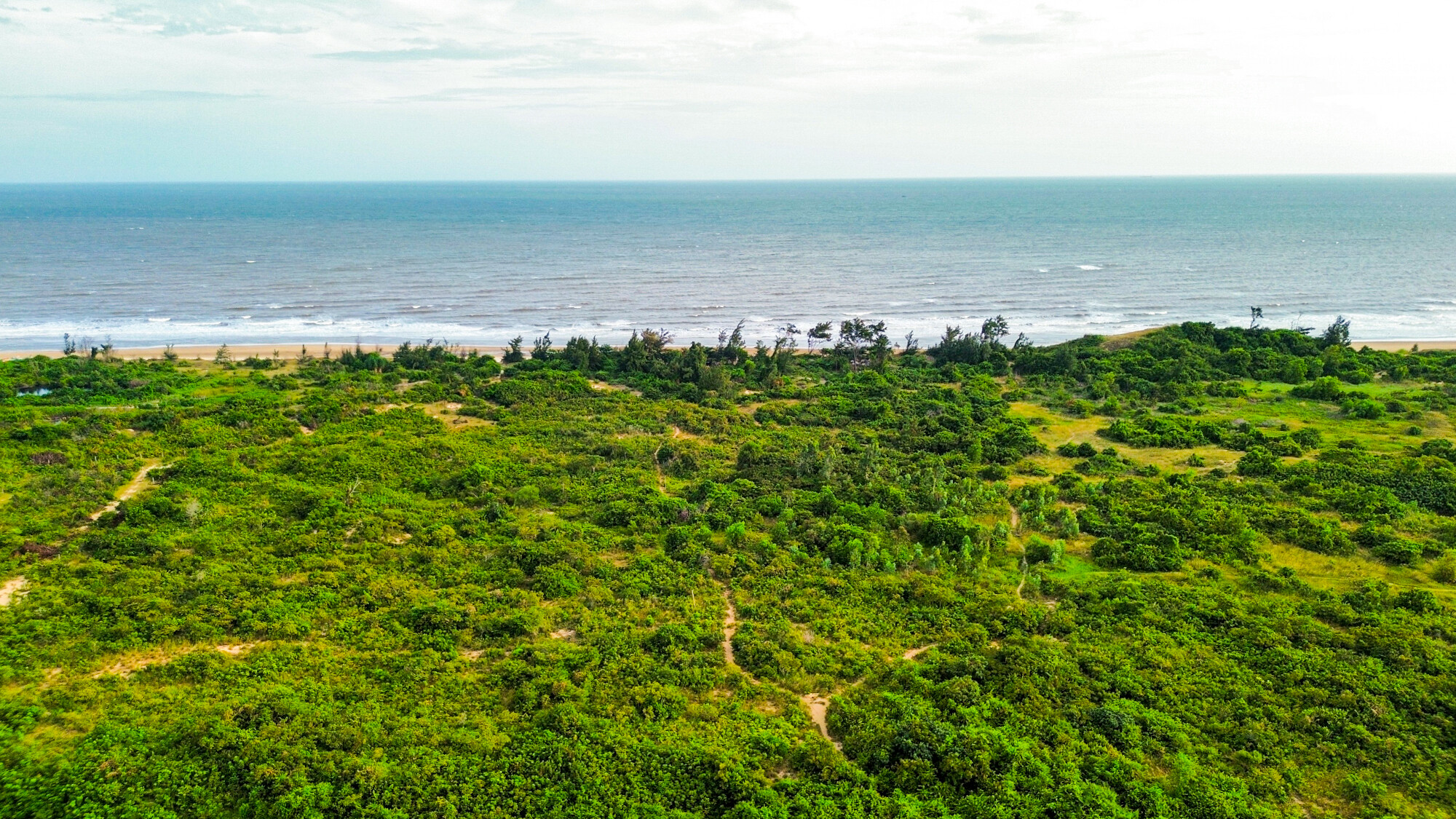 Toàn cảnh khu đất rộng 77 ha, có đường bờ biển dài hàng km chuẩn bị được đấu giá, thu về hàng nghìn tỷ cho Bà Rịa - Vũng Tàu- Ảnh 3.