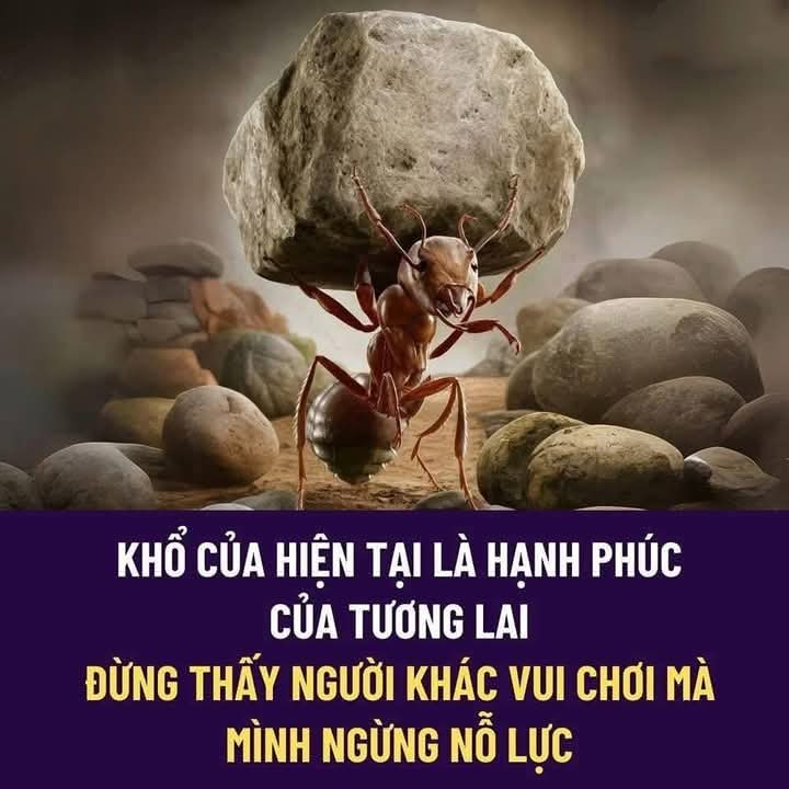 FB_IMG_1746679636982