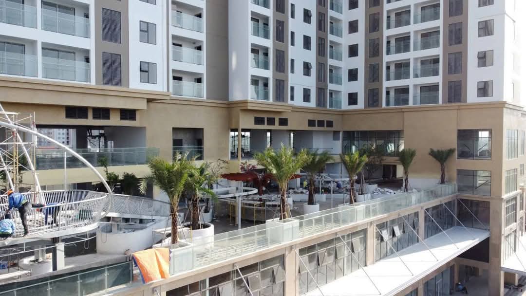 FB_IMG_1741424367027