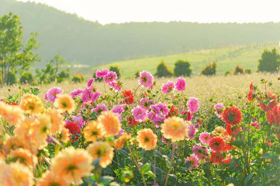 FB_IMG_1740030033609