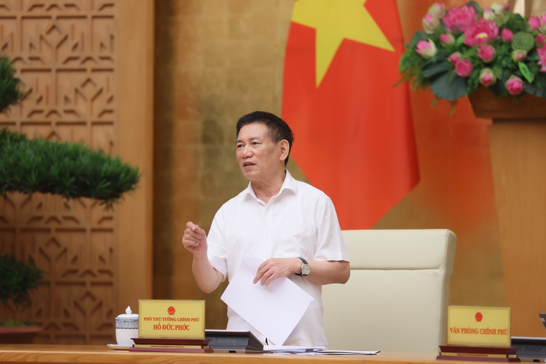 Phó Thủ tướng Hồ Đức Phớc: Cổ phần hóa là để doanh nghiệp mạnh lên chứ không phải bán đất- Ảnh 4. Phó Thủ tướng Hồ Đức Phớc: Cổ phần hóa là để doanh nghiệp mạnh lên chứ không phải bán đất- Ảnh 4.