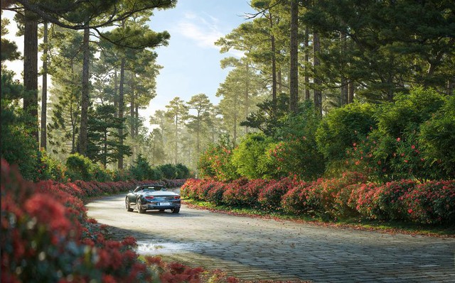 Thanh Xuan Valley – Miền an trú giữa thiên nhiên nguyên bản