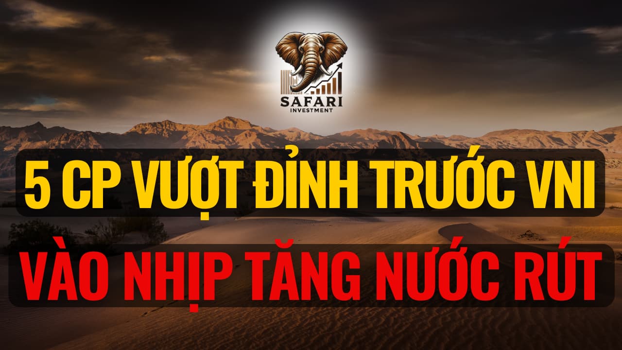 Livestream 1000 tiếng (15)