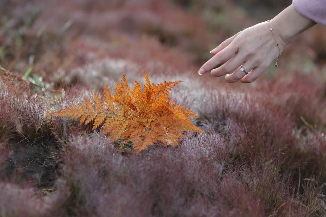 FB_IMG_1733309136775