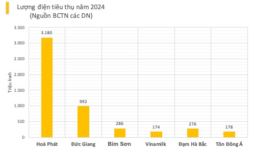 Hòa Phát, Đức Giang, Vinamilk... sẽ chi thêm bao nhiêu sau khi giá điện điều chỉnh tăng 4,8%?- Ảnh 2.
