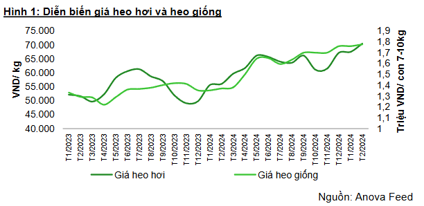 Screenshot 2025-02-27 151351