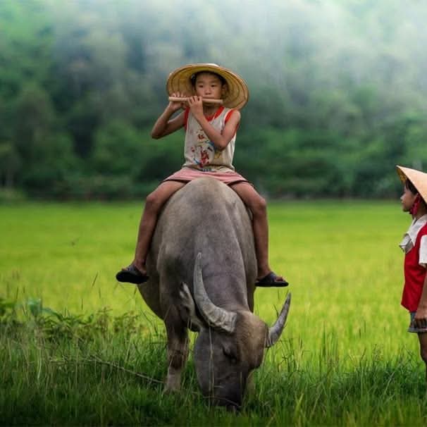 FB_IMG_1760086105771