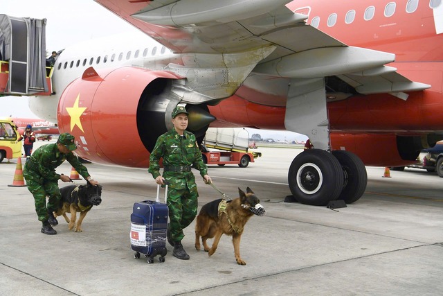 Khoảnh khắc tự hào: 2 máy bay chở lực lượng cứu hộ Việt Nam và 60 tấn hàng cứu trợ đã hạ cánh tại Myanmar- Ảnh 9.