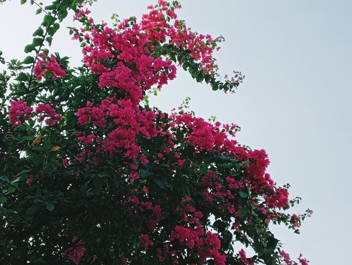 inbound478161993177320241