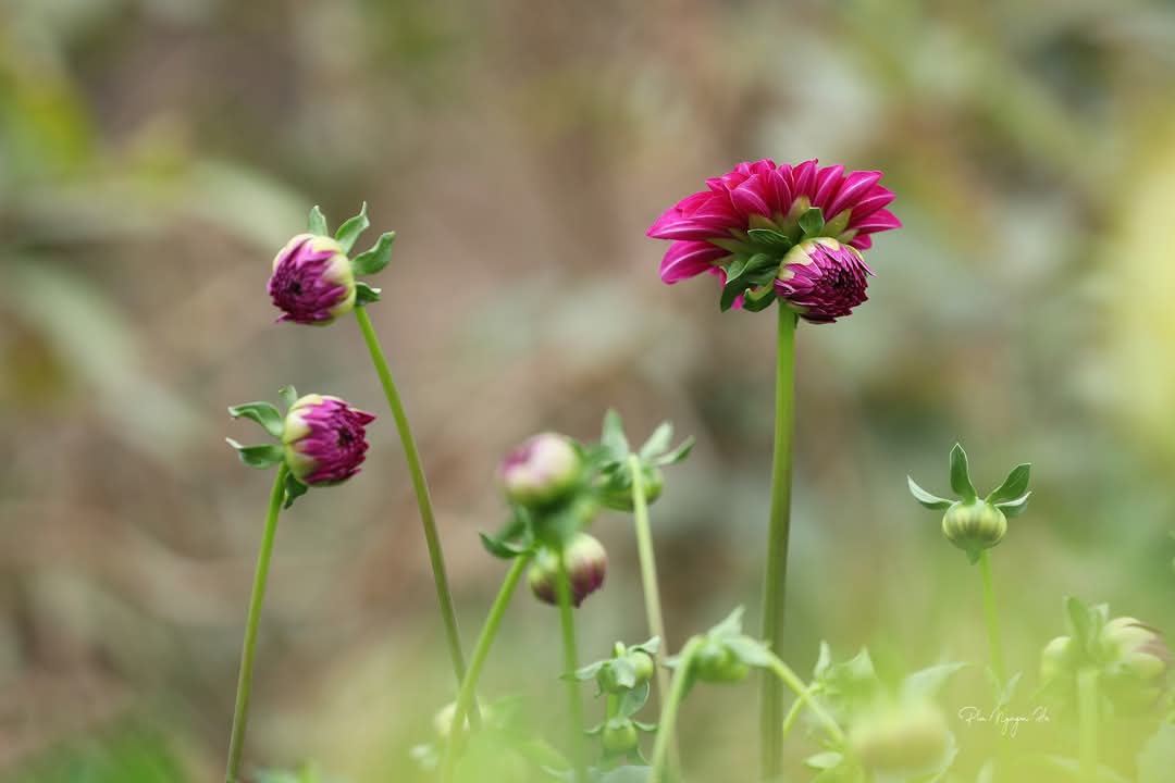 FB_IMG_1737960512629