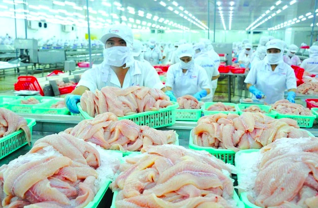 Chuỗi sushi nổi tiếng Nhật Bản đưa cá tra Việt Nam vào thực đơn - Ảnh 2.