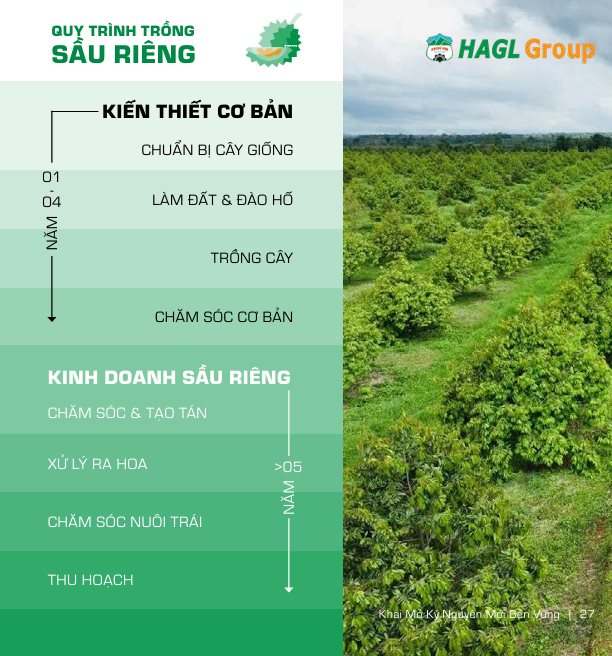 Xuất khẩu sầu riêng Việt từng sụt 69,4% vì rào cản Cadimi, Bầu Đức lộ 'át chủ bài': 1.600 ha ở Lào và kho lạnh 20.000 m² làm sầu riêng cấp đông chờ bán trái vụ giá cao hơn 50%- Ảnh 1.