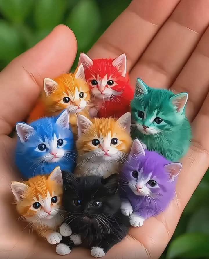 FB_IMG_1736243719435