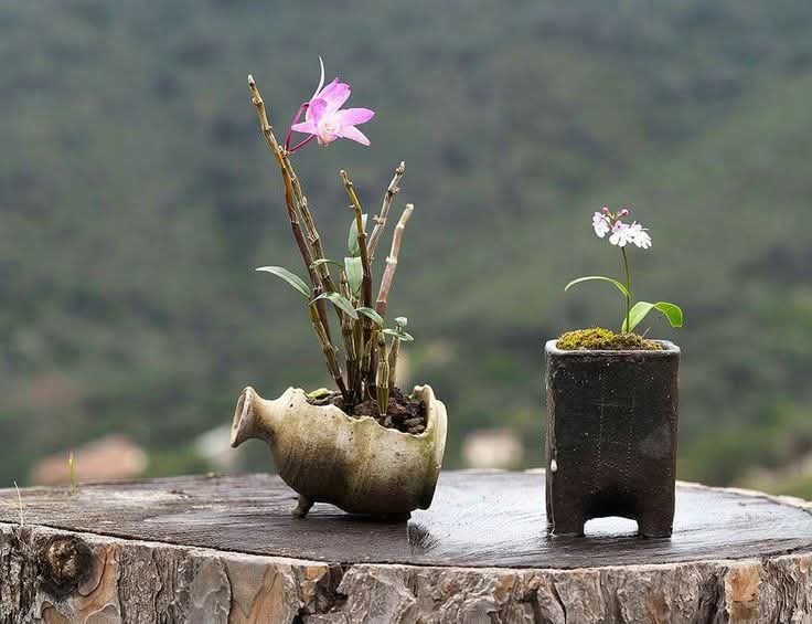 FB_IMG_1753269146318