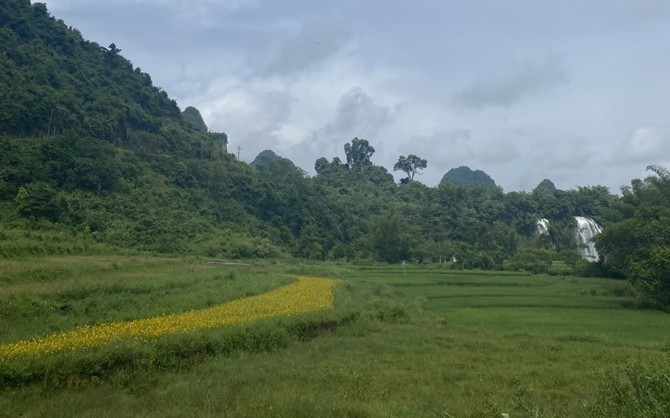 Luật Đất đai 2024: Đất nông nghiệp bị thu hồi có thể được bồi thường bằng nhà ở, đất ở