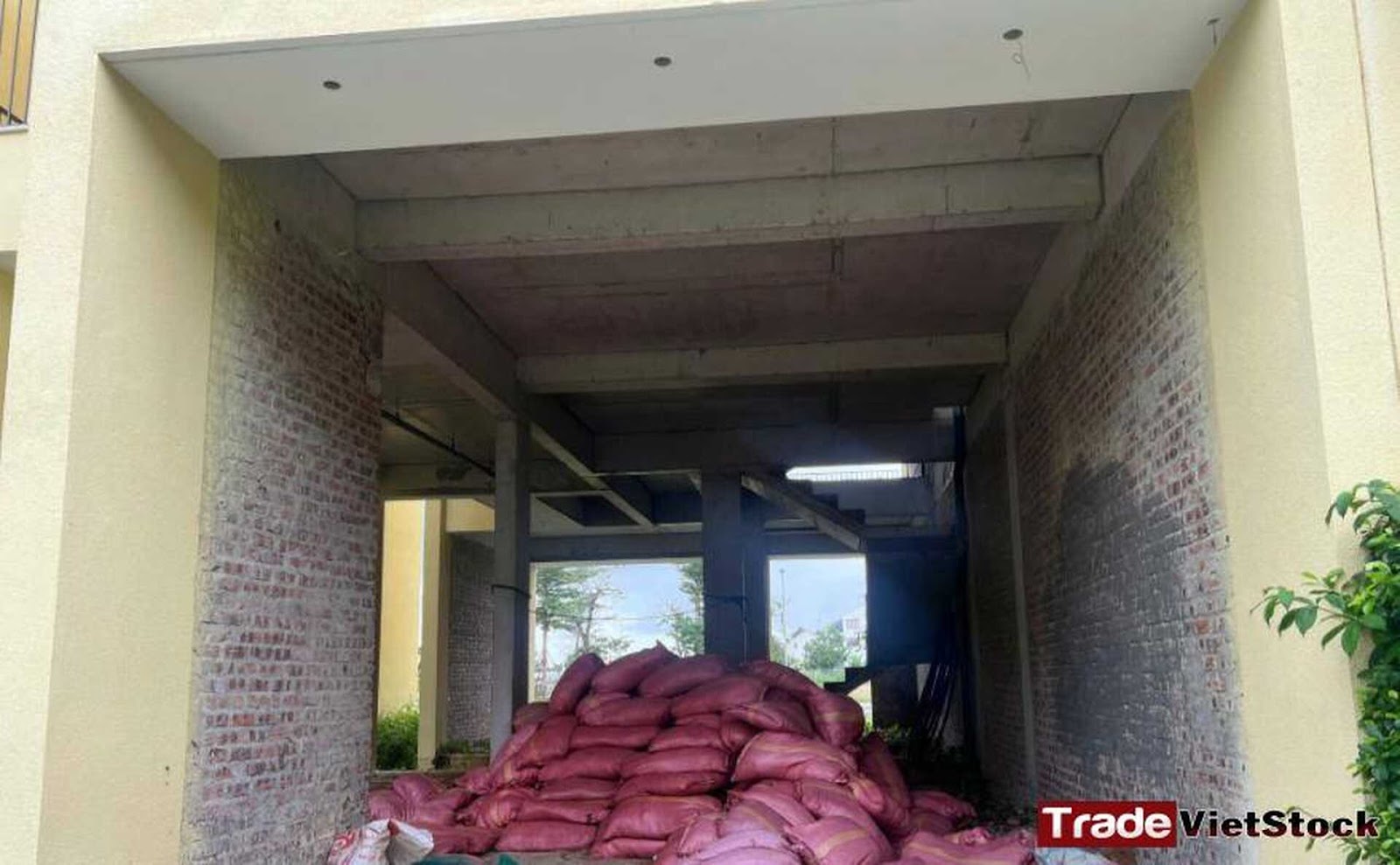 Dự án Xây được Phần Khung Trade Việt Stock