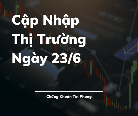 Cập nhập thị trường ngày