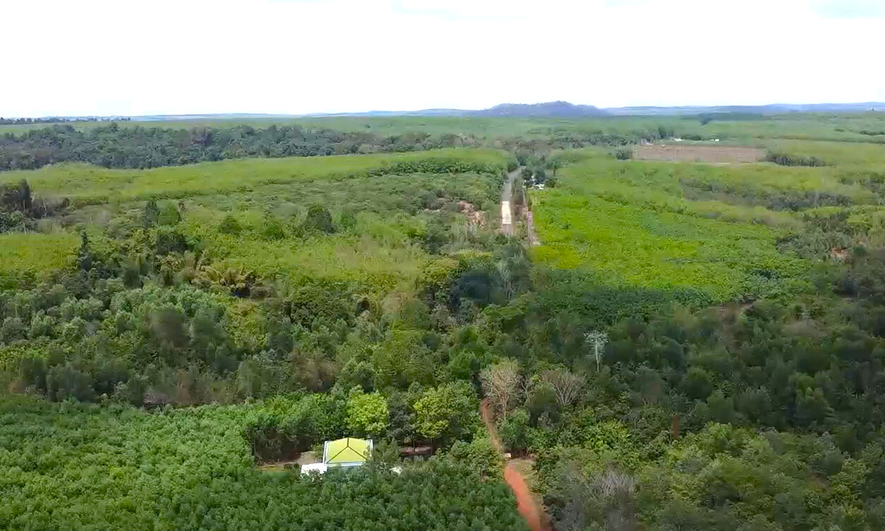 Hình ảnh tuyến đường duy nhất nối Bình Phước với Đồng Nai nhưng bị ngăn cách- Ảnh 11.