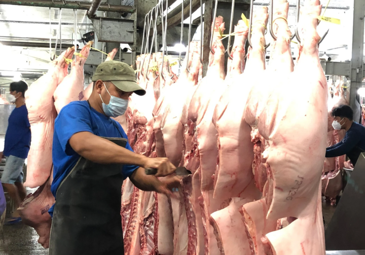 TP.HCM thí điểm sàn giao dịch thịt heo trong tháng 12- Ảnh 1. TP.HCM thí điểm sàn giao dịch thịt heo trong tháng 12- Ảnh 1.