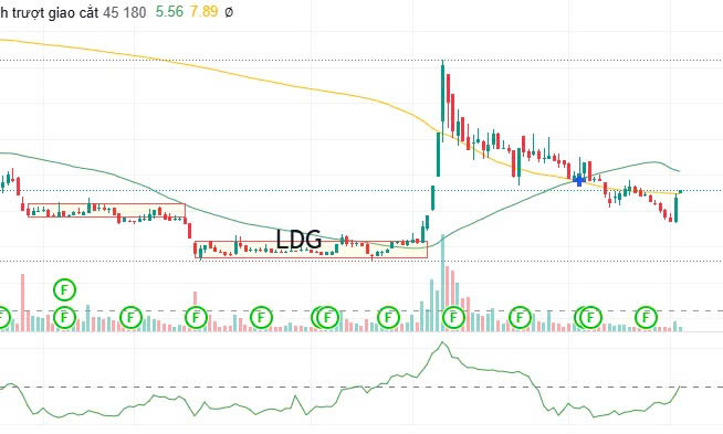 ldg