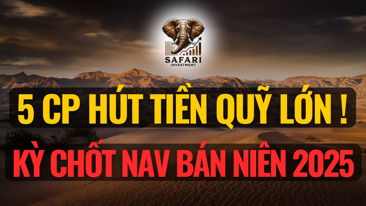 Livestream 1000 tiếng (68)