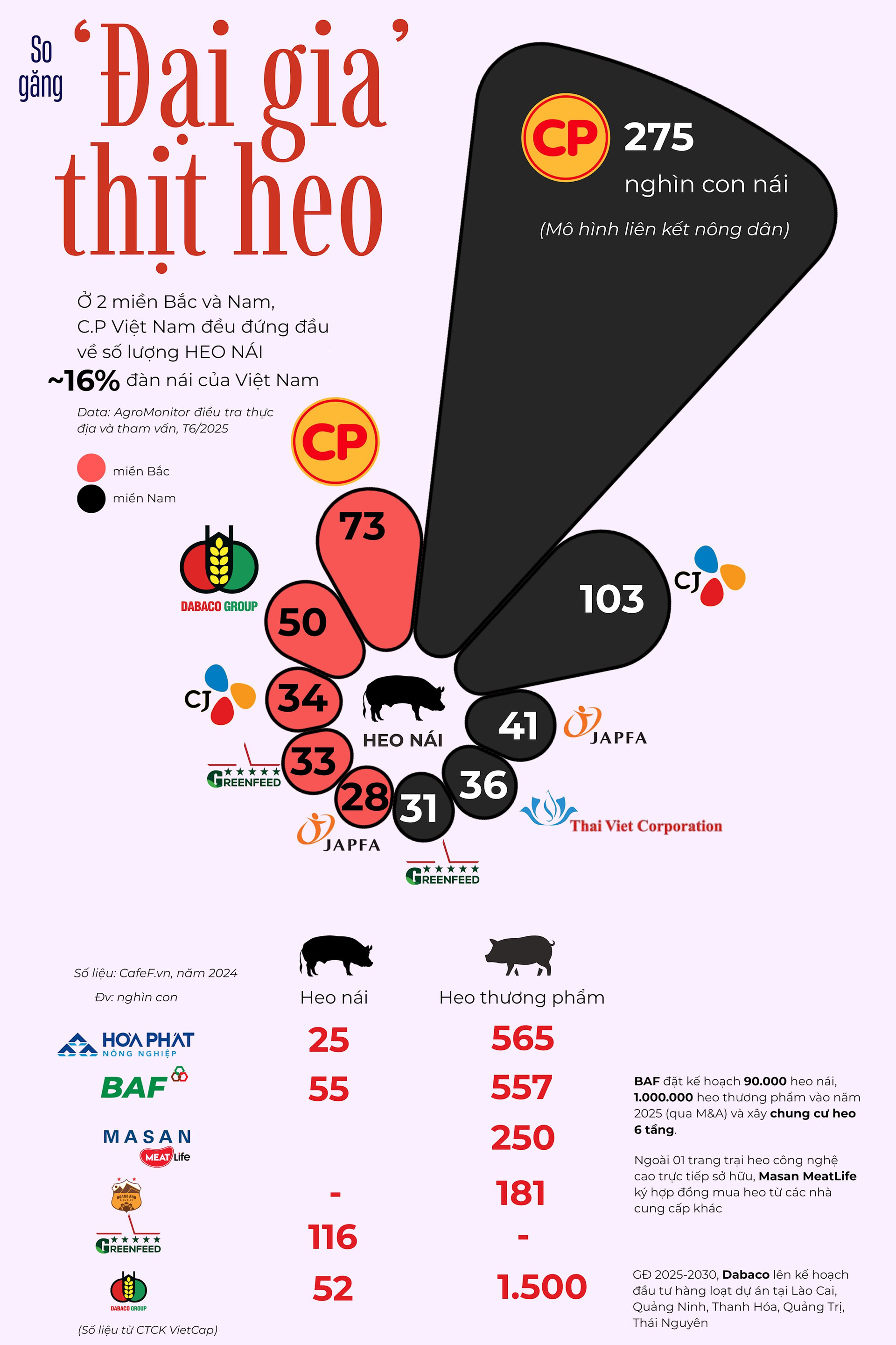 350.000 con heo nái đưa C.P. Việt Nam thống trị ngành heo, ‘đại gia’ Việt phất cờ chiếm lại thị trường?- Ảnh 2.