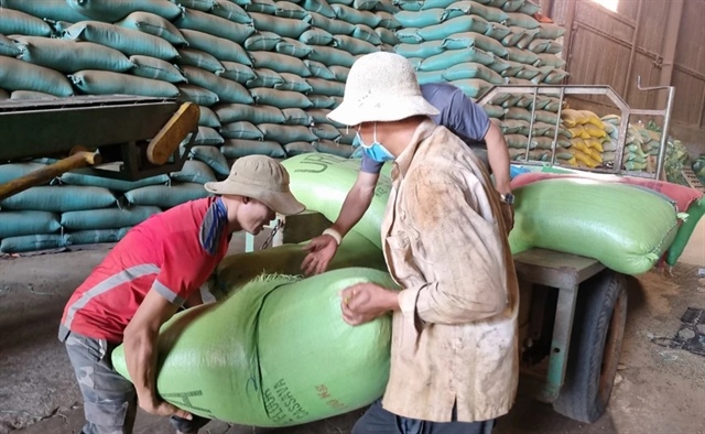 Nghịch lý giá cà phê tăng cao nhưng doanh nghiệp lao đao