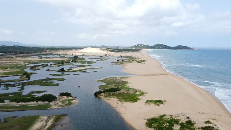 Tỷ phú Trần Đình Long vừa lập 'đội đặc nhiệm' để thực hiện 3 dự án 5 tỷ USD tại Phú Yên- Ảnh 1.