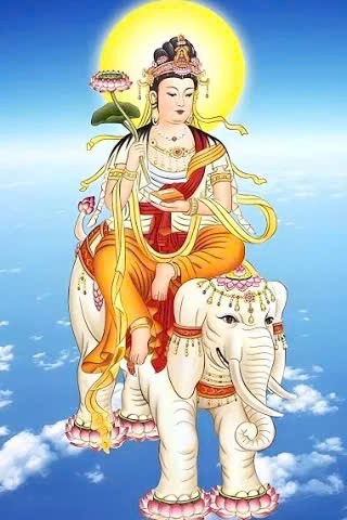 IMG_1757307749706_1757307787046