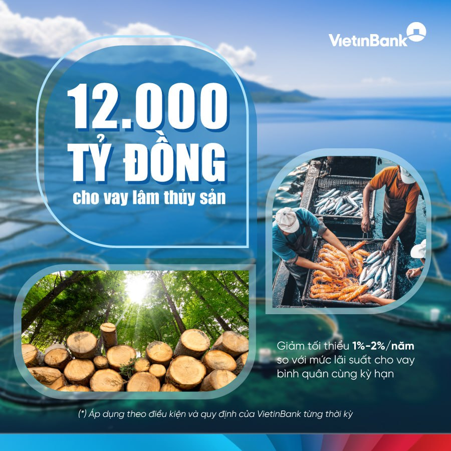 VietinBank nâng quy mô gói tín dụng, đẩy mạnh đầu tư lĩnh vực lâm, thủy sản- Ảnh 1. VietinBank nâng quy mô gói tín dụng, đẩy mạnh đầu tư lĩnh vực lâm, thủy sản- Ảnh 1.